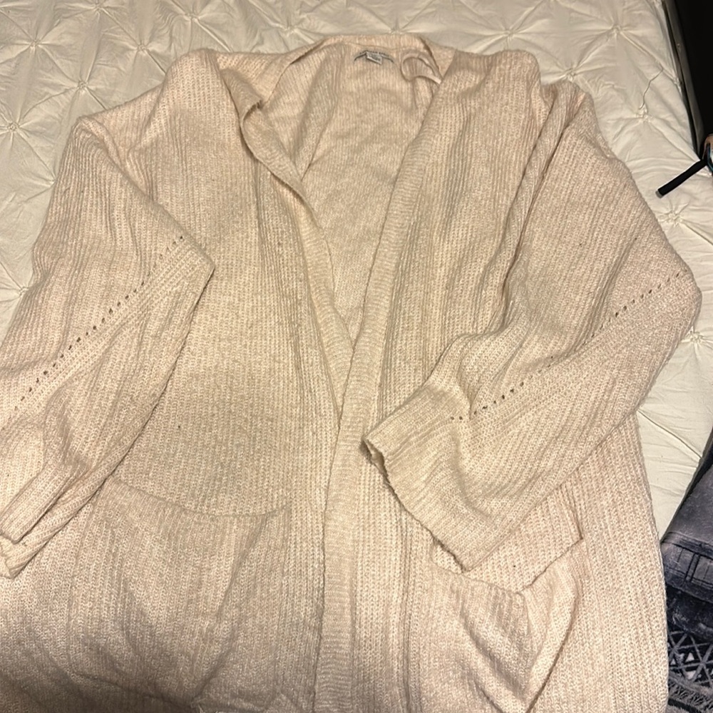 American Eagle Cardigan